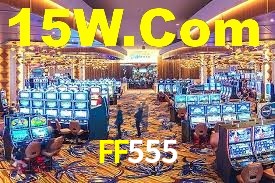 Premium Interface FF555